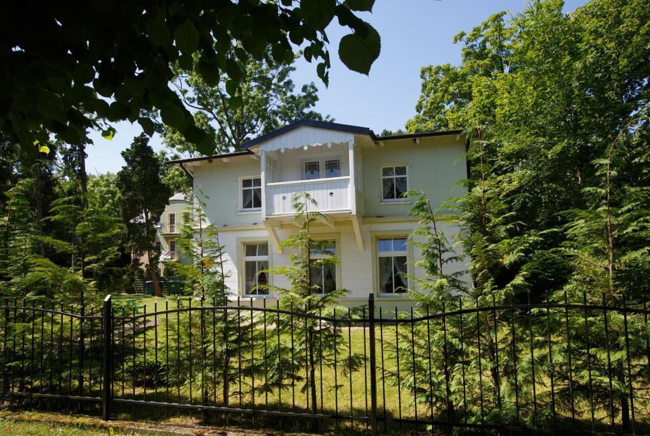 Wille Amber Миелно Екстериор снимка
