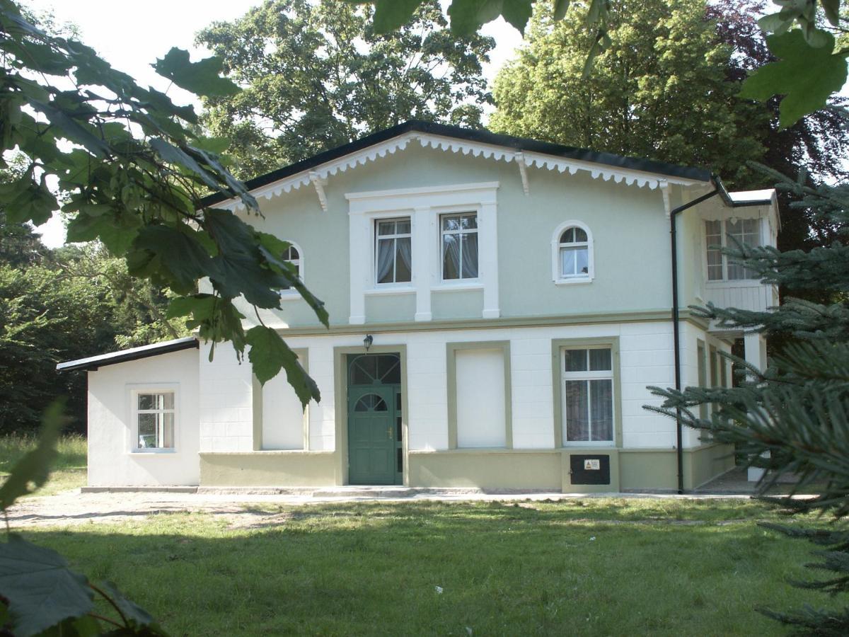 Wille Amber Миелно Екстериор снимка
